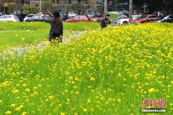 延庆最近一周天气情况,延庆最近天气情况怎么样?