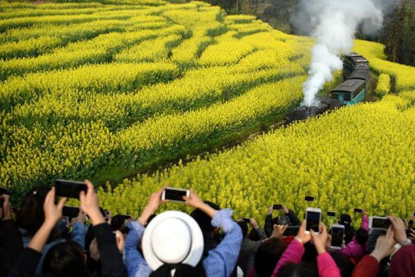 迁安市天气预报_迁安市天气预报未来20天