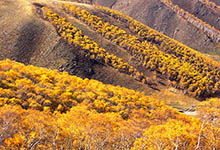 赤城天气预报_赤城一周天气预报